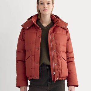 Everlane Women's Everpuff Puffer Jacket in Merlot